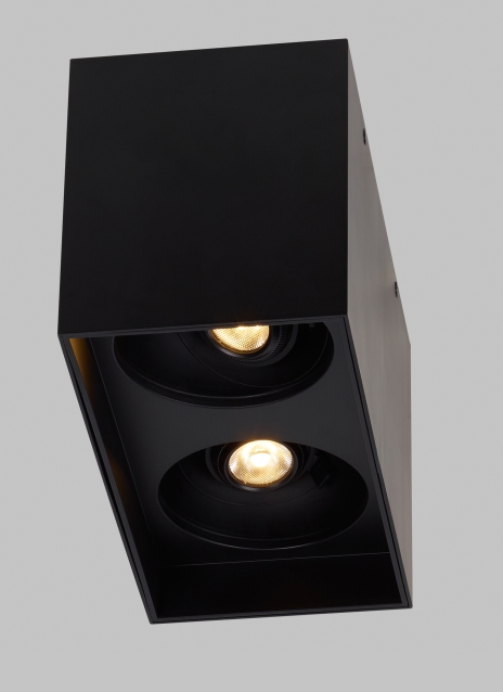 Exo 6 Dual Flush Mount Alt Image