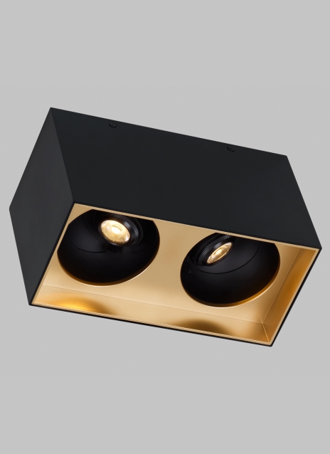 Exo 6 Dual Flush Mount Alt Image