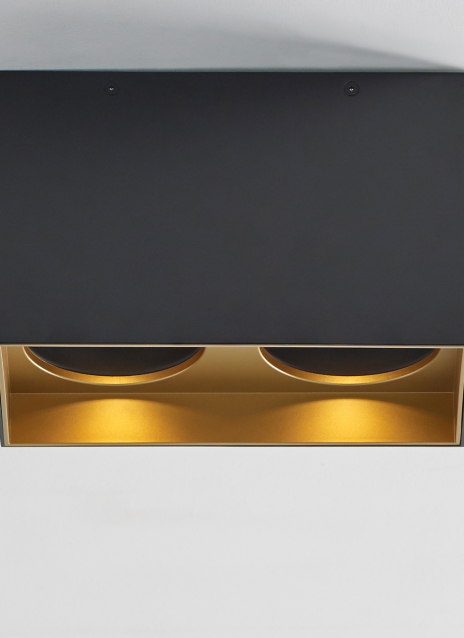Exo 6 Dual Flush Mount Alt Image