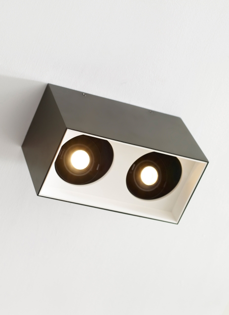 Exo 6 Dual Flush Mount Alt Image