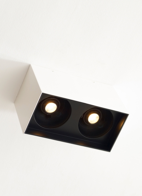 Exo 6 Dual Flush Mount Alt Image