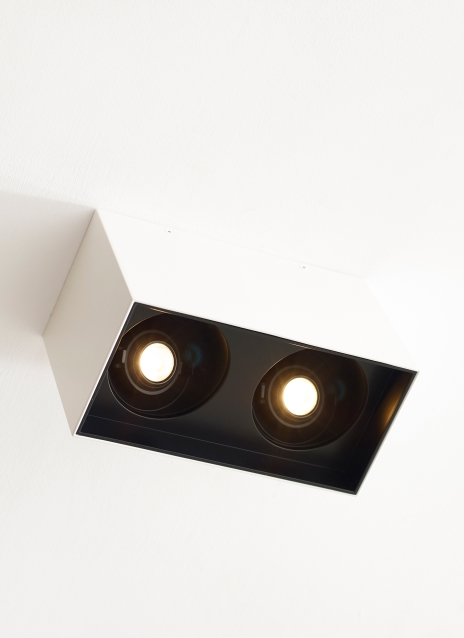 Exo 6 Dual Flush Mount Alt Image