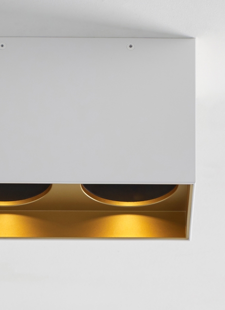 Exo 6 Dual Flush Mount Alt Image