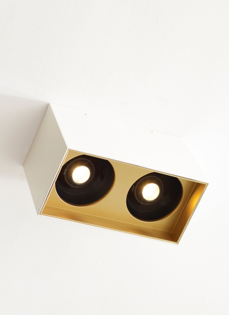 Exo 6 Dual Flush Mount Alt Image