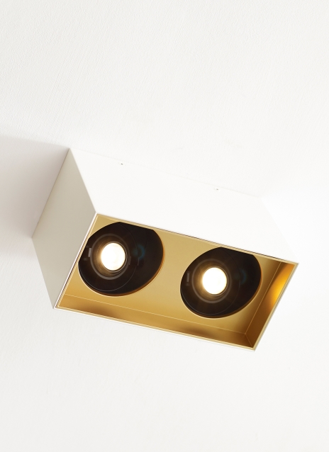 Exo 6 Dual Flush Mount Alt Image