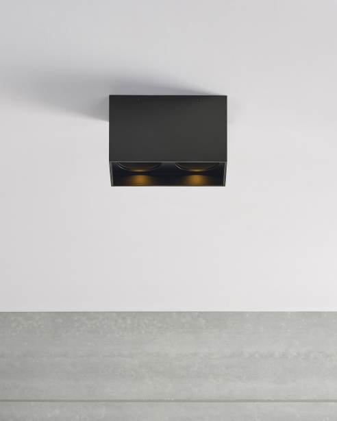 Exo 6 Dual Flush Mount Alt Image