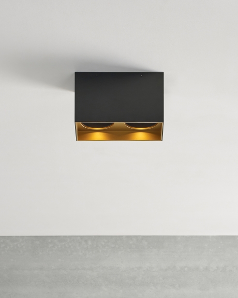 Exo 6 Dual Flush Mount Alt Image
