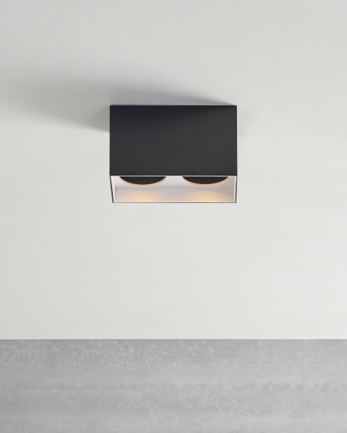 Exo 6 Dual Flush Mount Alt Image