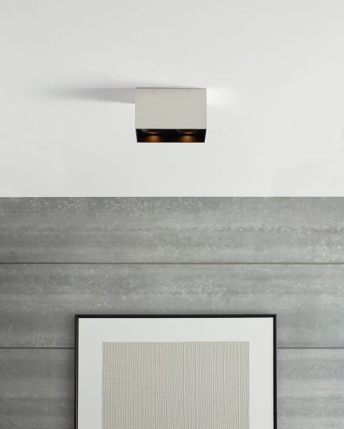 Exo 6 Dual Flush Mount Alt Image