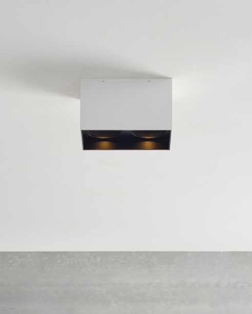 Exo 6 Dual Flush Mount Alt Image