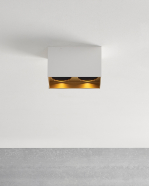 Exo 6 Dual Flush Mount Alt Image