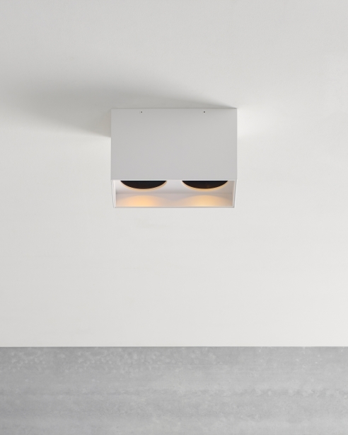 Exo 6 Dual Flush Mount Alt Image