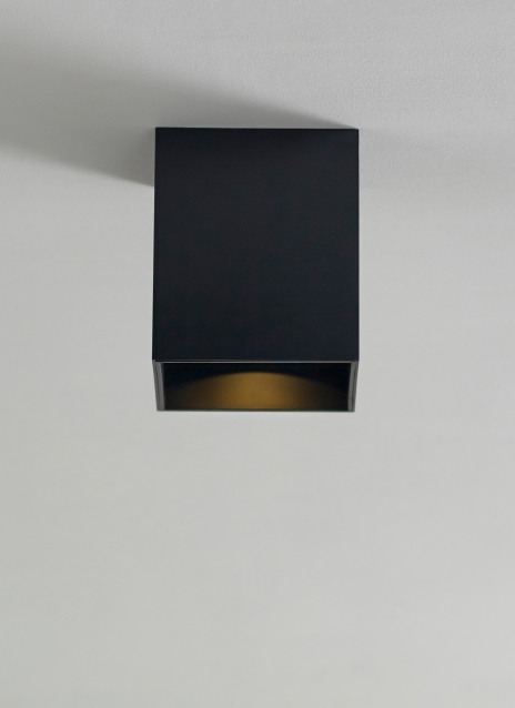 Exo 6 Flush Mount Alt Image