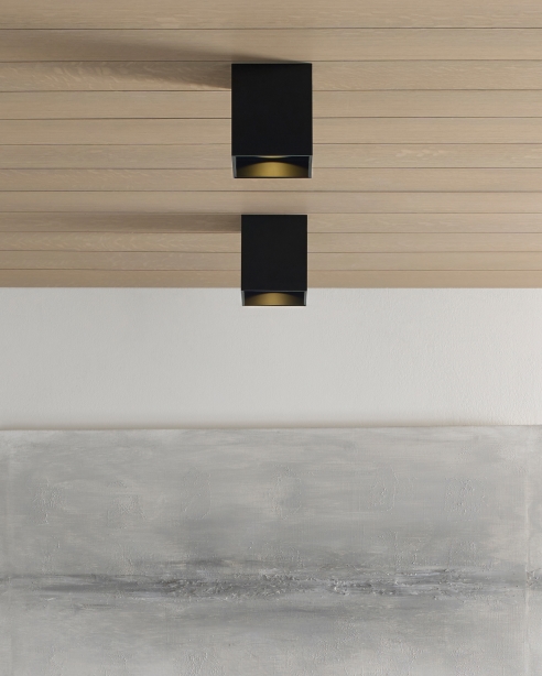 Exo 6 Flush Mount Alt Image