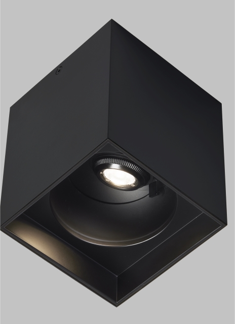 Exo 6 Flush Mount Alt Image
