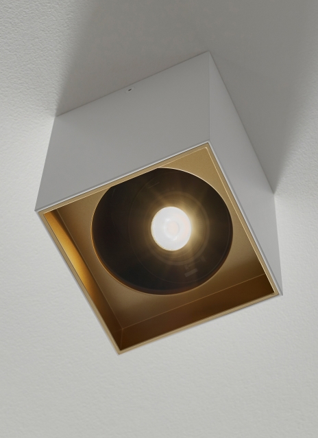 Exo 6 Flush Mount Alt Image