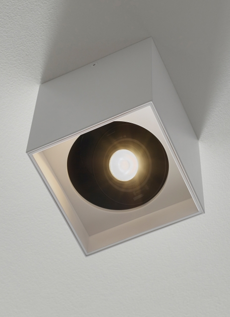 Exo 6 Flush Mount Alt Image