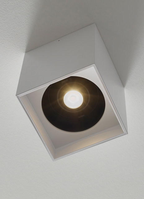 Exo 6 Flush Mount Alt Image
