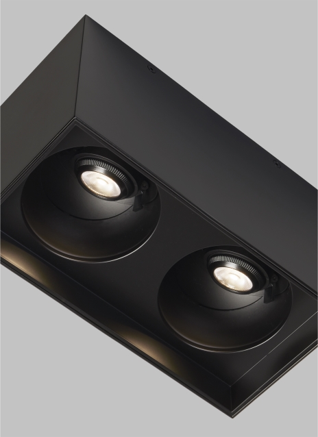 Exo 6 Dual Flush Mount Alt Image