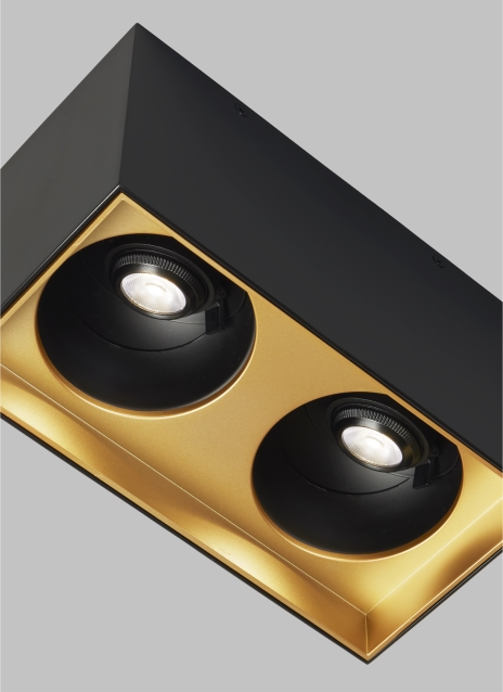 Exo 6 Dual Flush Mount Alt Image