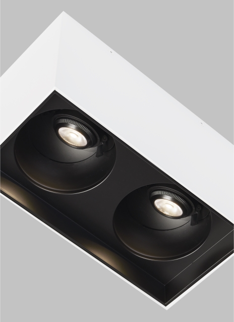 Exo 6 Dual Flush Mount Alt Image