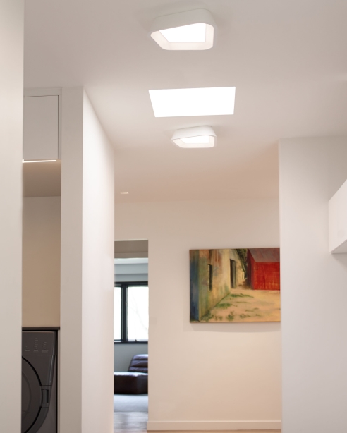 Architect: dSpace Studio