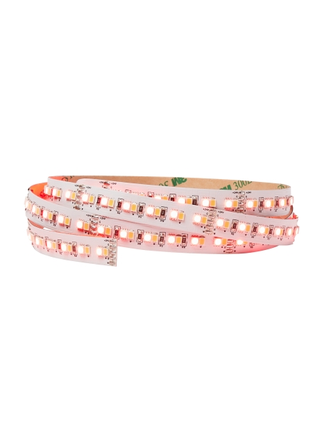 LED Strip Indoor RGBW