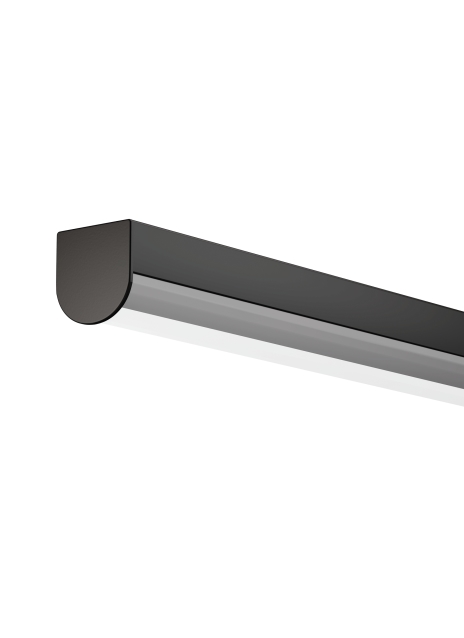 Surface 0809 Grazer