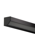 Black with Black Lens Shown Off