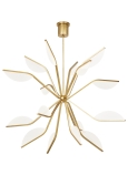 Natural Brass Alt