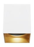 Matte White / Gold Haze