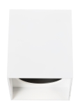 Matte White / Matte White