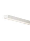 White with Black Lens Shown On
