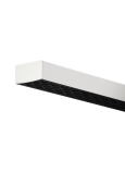 White with Black Louver Shown Off