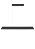 Black<br>49"